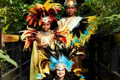 Carnival Costumes Tropical World May 2017 #13