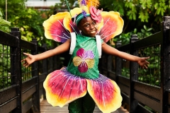 Carnival Costumes Tropical World May 2017 #49