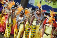 LEEDS CARNIVAL PARADE 2017 #47